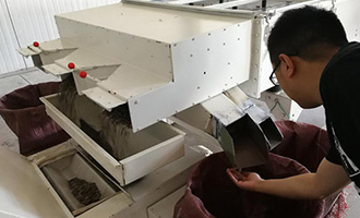 The Story of a Xinjiang Melon Seed in Henan! Tracing back along BESTORE's Supply Chain to Find Out How Special the Prime Melon Seeds Are！